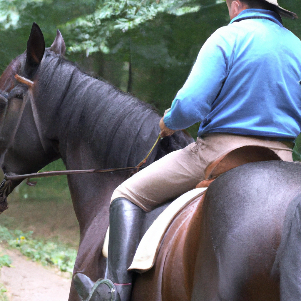 wie lange kann man pferde reiten